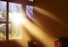Kenapa Rumah Harus Kena Sinar Matahari? Bukan Cuma Biar Estetik Doang