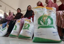 Bulog Mamuju Salurkan Bantuan Pangan Kepada 50.284 Keluarga hingga Akhir Mei 2026