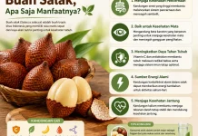 Buah Salak, Apa Saja Manfaat dari Buah Ini?