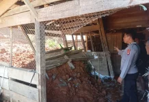 Hujan Deras Picu Longsor di Tabang Barat Mamasa, Satu Rumah Warga Alami Kerusakan