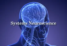 Rahasia Neurosains: Ini Cara Hack Otak Biar Ketagihan Belajar Setiap Hari