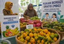 Pasokan dan Kualitas Buah Lokal Jadi Tantangan Program MBG di Sulbar