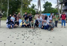 Penyu Jaga Ruang Laut, Kunci Stok Ikan dan Cegah Stunting