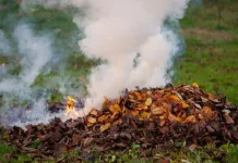 Ngeri! Pembakaran Sampah Menghasilkan Zat Beracun Mematikan