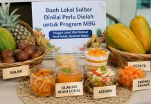 Buah Lokal Sulbar Dinilai Perlu Diolah untuk Program MBG