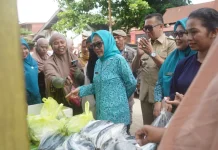 Ketua TP PKK Sulbar Dorong Gerakan Memasyarakatkan Makan Ikan Demi Cegah Stunting