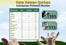 Polman Jadi Kabupaten dengan Hewan Kurban Terbanyak di Sulbar