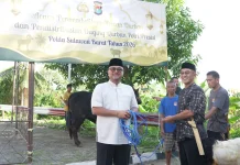Sebanyak 17 Sapi dan 33 Kambing Disembelih, Polda Sulbar Bagikan Daging Qurban