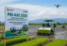 PM-AAS 2026 Siap Dongkrak Produktivitas Padi di Sulbar