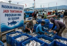 Pasokan Ikan Lokal Jadi Tantangan Program MBG di Sulbar