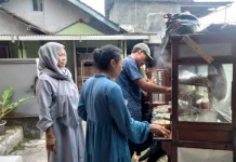 Makan Bakso di Hari Raya, Tradisi Santai yang Tetap Favorit