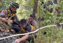 Tim Gabungan Antisipasi Kebakaran Susulan di Lokasi Karhutla