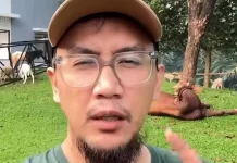Mitos atau Fakta? Makan Daging Kambing Bikin Hipertensi dan Kolesterol Naik
