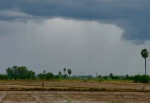 Pertanian Masih Jadi Penopang Utama Ekonomi Sulbar