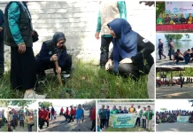 Ketua DPRD Mateng Pimpin Apel Hari Lingkungan Hidup Sedunia di Batu miana