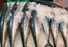Awas Keliru! Kenali Perbedaan Ikan Tuna, Tongkol, Cakalang dan Tenggiri