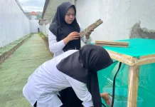 Rutan Mamuju Ubah Limbah Organik Melalui Budidaya Maggot BSF