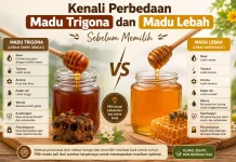 Kenali Perbedaan Madu Trigona dan Madu Lebah sebelum Memilih
