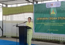 IAD Sulbar Bersama BKKBN Perkuat Pencegahan Stunting Daerah