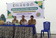 Dinas Pangan Sulbar Launching Rumah Pangan di Mamuju Tengah