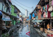 Angka Stunting Sulbar Turun, dari 35 menjadi 26,8 Persen pada Triwulan I 2026