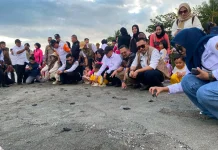 Festival Penyu Mampie Resmi Dibuka, Pemprov Sulbar Tekankan Sustainable Tourism