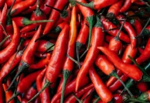 Benarkah Makanan Pedas Bisa Bermanfaat untuk Kesehatan?