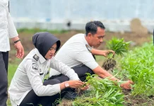 Manfaatkan Lahan Kosong, Warga Binaan Lapas Mamuju Perkuat Kemandirian