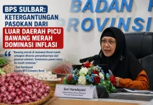 BPS Sulbar: Ketergantungan Pasokan Luar Daerah Picu Bawang Merah Alami Inflasi