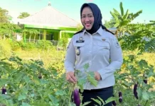 Lapas Perempuan Mamuju Panen Sayuran, Bekali Kemandirian Warga Binaan Produktif