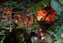Tiga Dusun Terdampak Karhutla di Desa Sumare