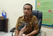 Wabah Demam Babi Afrika di Polman, 92 Babi Mati dan 83 Masih Dirawat