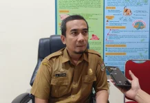Deman Babi Afrika Ditemukan  Positif di Mamasa dan Polman
