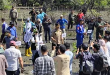 Siasati Anggaran Tanggul, Bupati Mamuju Pilih Mangrove