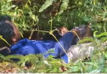 Pegawai Kemenag Mamuju Ditemukan Tergantung di Pohon