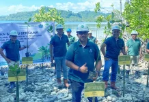 Menjaga Pesisir untuk Generasi Mendatang, Astra Agro Tanam 200 Bibit Mangrove