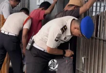 Komitmen Bebas Narkoba dan HP, Rutan Pasangkayu Gelar Razia Rutin di Blok Isolasi