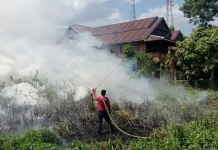 Antisipasi Karhutla, Damkar Majene Imbau Warga Tak Sembarangan Bakar Sampah