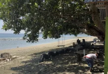 Pantai Sumare Mamuju Dinilai Perlu Fasilitas Permainan Anak