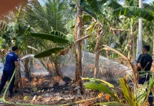 Rentetan Kebakaran Lahan, Warga Polman Diminta Waspada