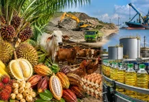 Hortikultura hingga Industri Pengolahan Topang Ekonomi Sulbar Triwulan II