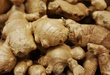 Manfaat Kencur sebagai P3K Alami bagi Anak