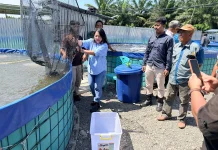 CSR PT Mamuang Dukung Budidaya Bioflok, 8 Ribu Ikan Mujair Dipanen