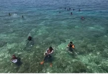 HUT RI ke 81, POSSI Sulbar Bersih-bersih Pantai dan Bawah Laut di Pulau Karangpuang