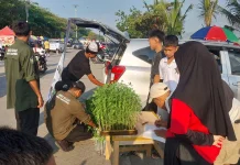 Cegah Inflasi,Petani Peternak Muda keren Bagikan Ribuan Bibit Cabe Gratis