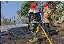 Prajurit Korem 142/Tatag Turun Langsung Atasi Kebakaran