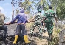 Danrem 142/Tatag Pimpin Langsung Pemadaman Karhutla di Rangas