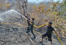 Gerak Cepat Korem 142/Tatag dan Unsur Gabungan Padamkan Api di Simboro