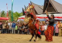 Sayyang Pattuqduq, Warisan Budaya Mandar yang Terus Lestari