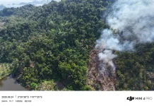 Gubernur Suhardi Duka akan Tindak Tegas Pembakar Hutan dan Lahan